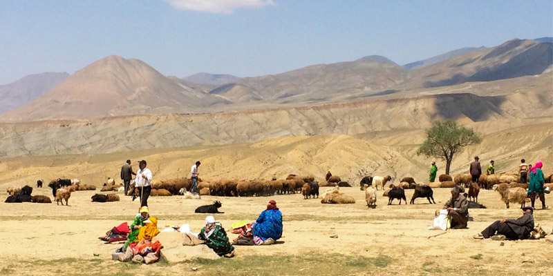 Nomads of Iran-Termeh Travel